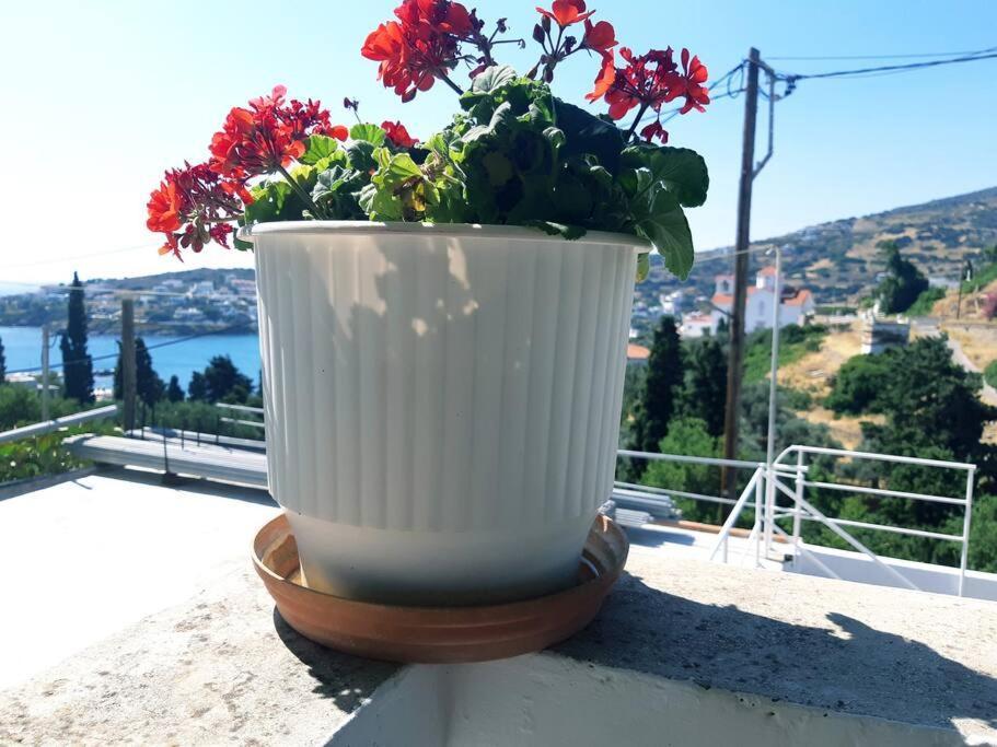 Blue Aegean Apartment Batsi (Andros)
