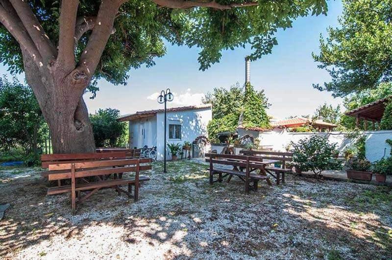 Apartment Xara