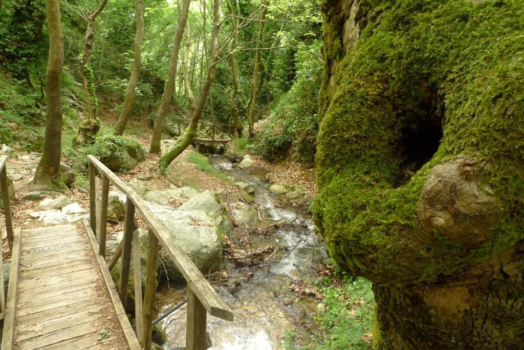 The Lotus Tree Archontiko & Activity Guest house Pelion