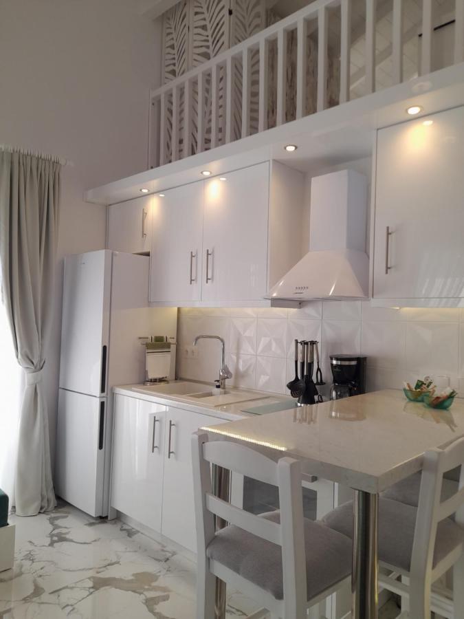 Apartment Agora Luxury Loft Agios Nikolaos (Chalkidiki)