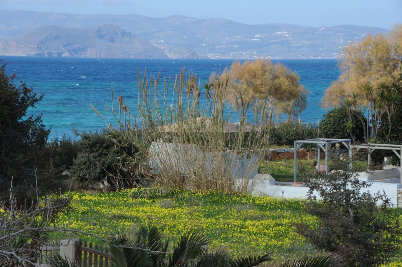 Ariadne Apartment Maragkas