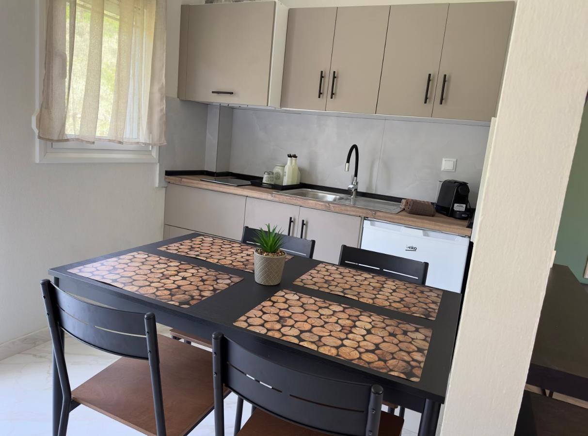Golden View Studios Apartment Chrysi Ammoudia