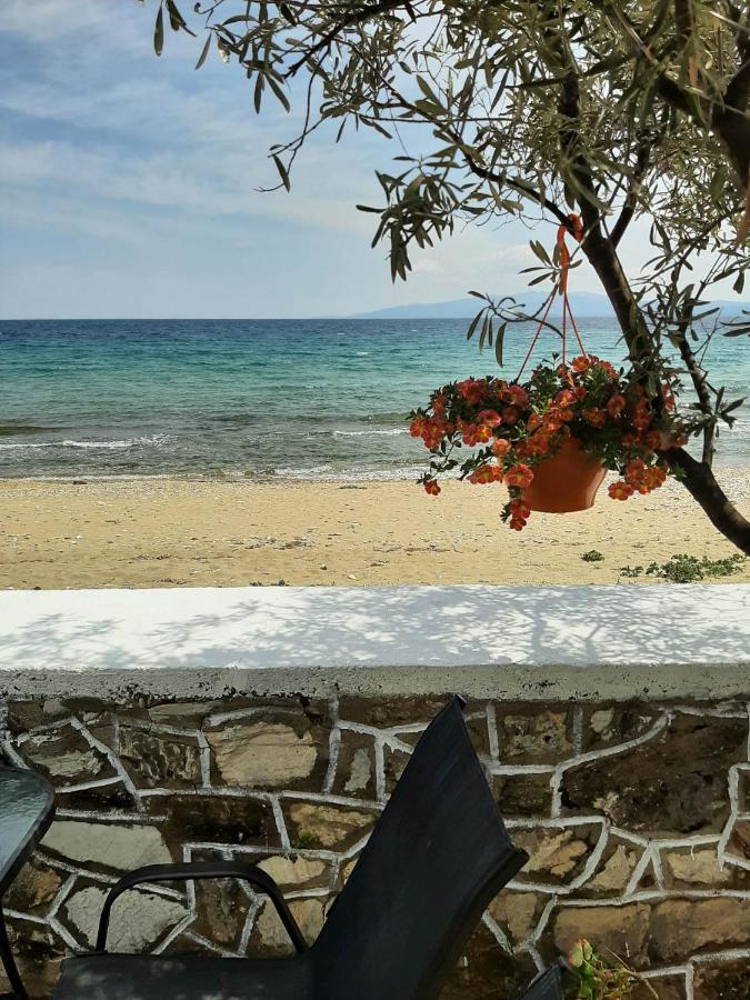 Holiday home House Kokkalas On The Pyrgadikia