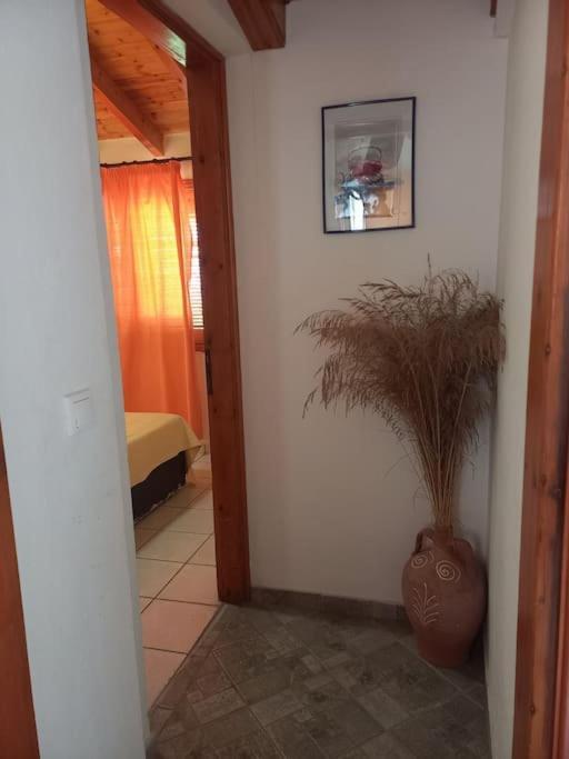 Apartment δίχωρο στούντιο στον κέντρο του αρμενιστή Armenistis (Ikaria)