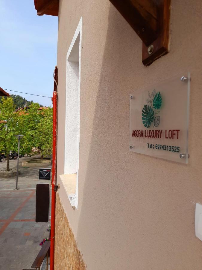 Agora Luxury Loft *