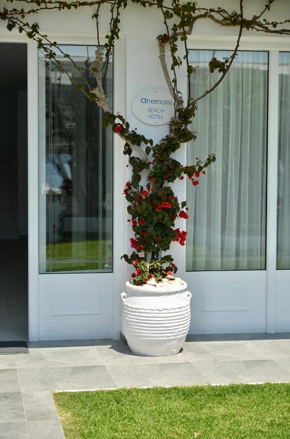 Anemoni Skiathos Town
