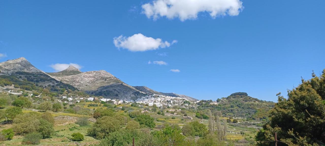 Imellos Apartment Aperathos