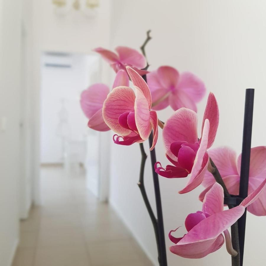 Apartment Katy's Luxury Aparments Paralia Kourna