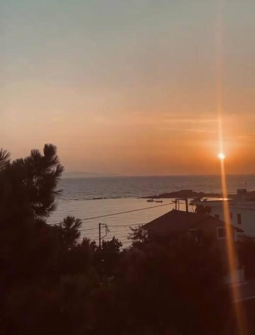 Paradise House *