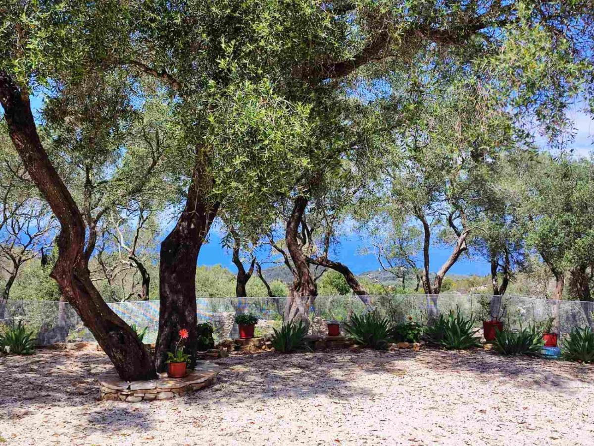 Apartment Olive Garden, Kastanida - Paxoi *