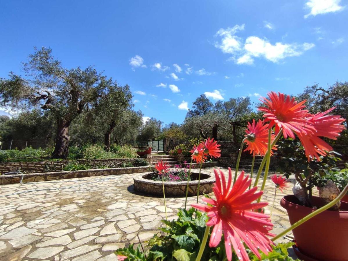Olive Garden, Kastanida - Paxoi