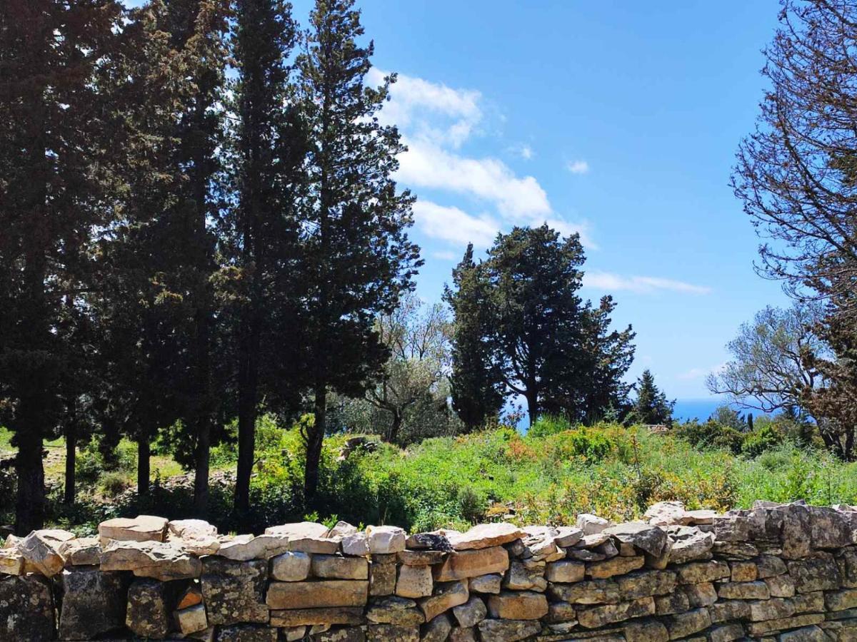 Olive Garden, Kastanida - Paxoi Gaios
