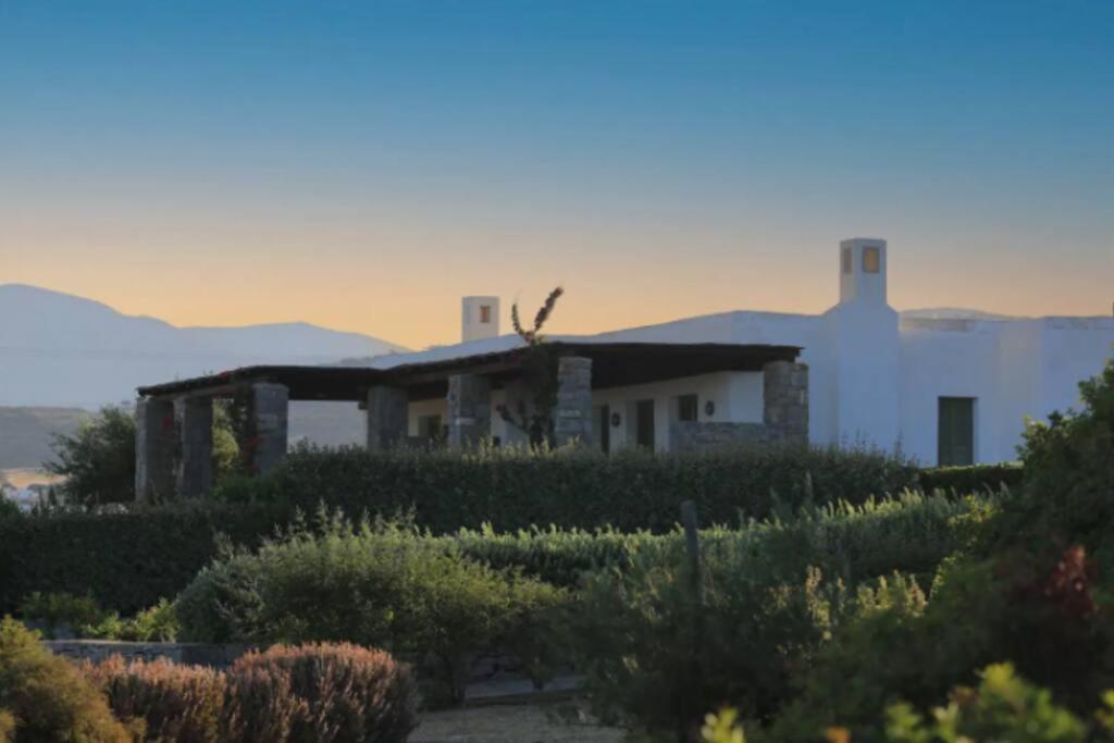 Vino - Cycladic Calm Holiday home *