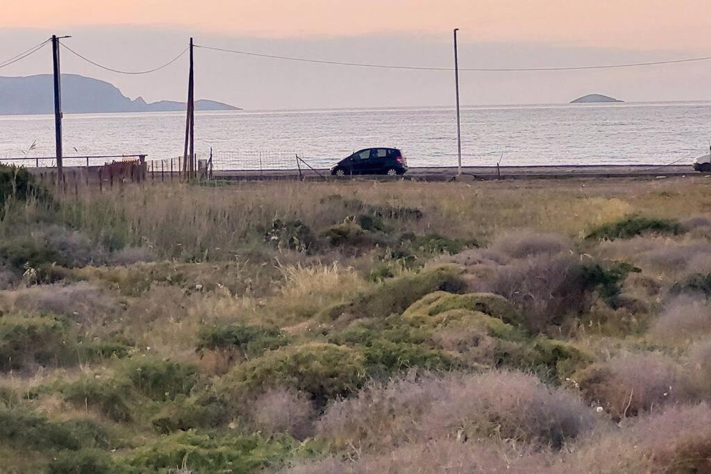 Xenia, By The Sea! *