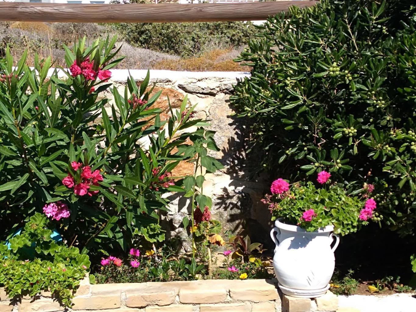 Delight Apartments Suites Stelida (Naxos)