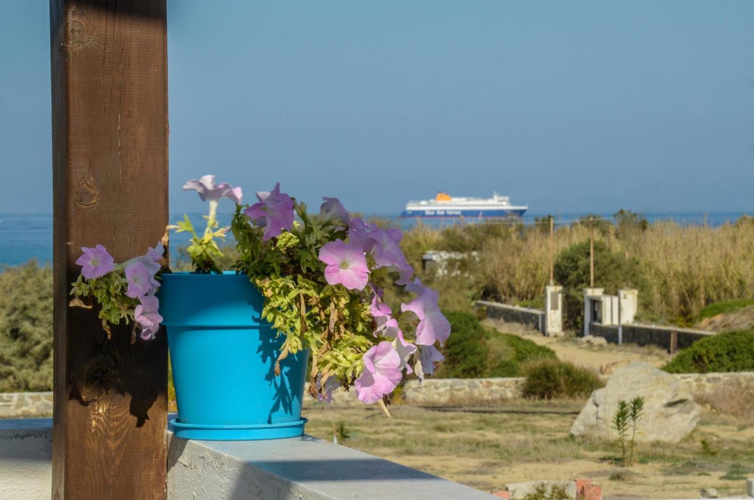 Delight Apartments Suites Stelida (Naxos)