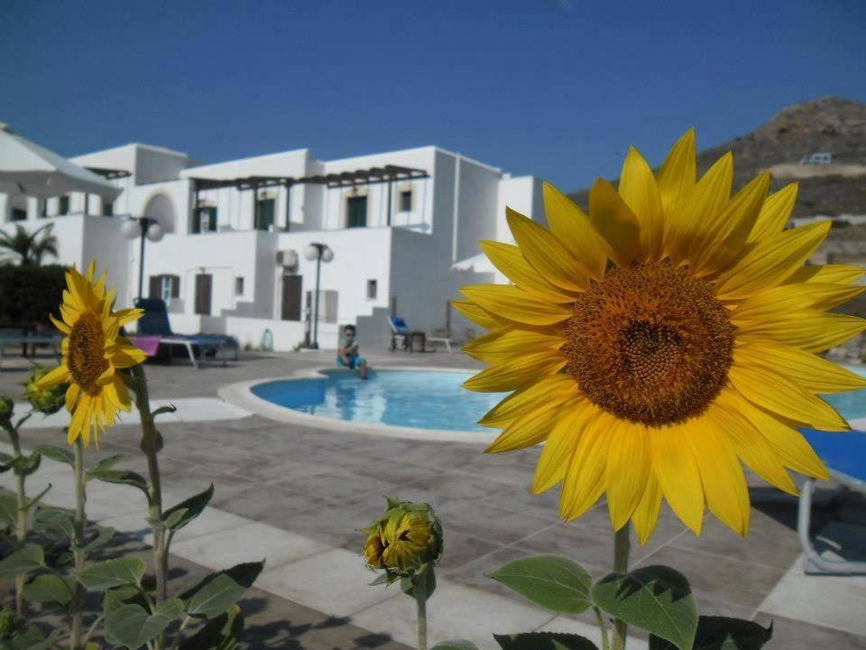 Delight Apartments Suites Apartment