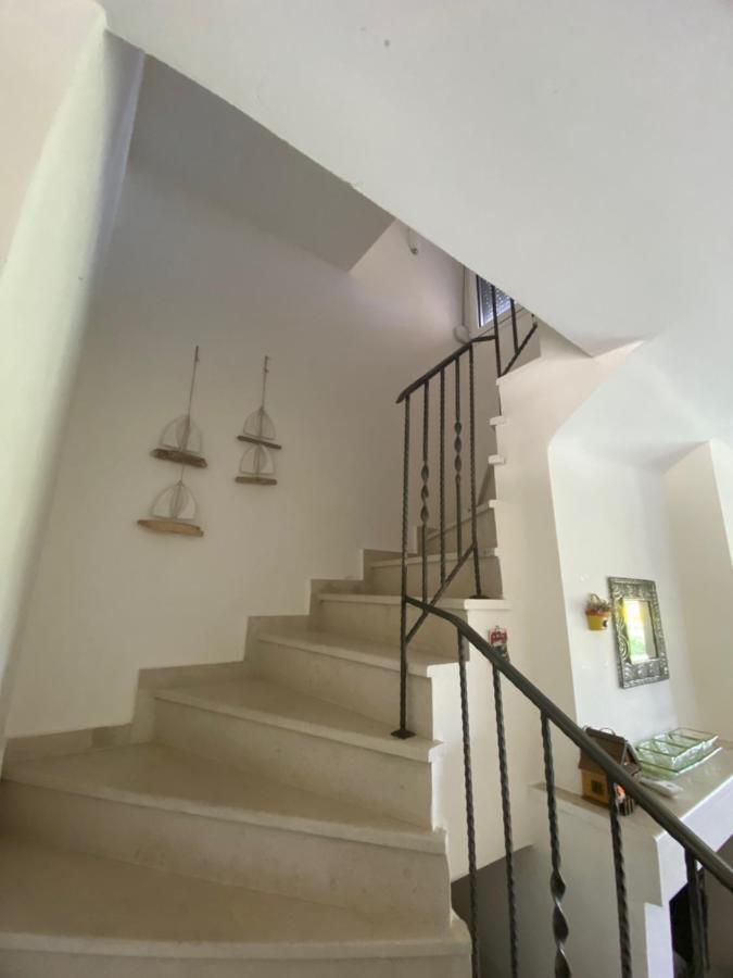 Wonderful Elegant House *