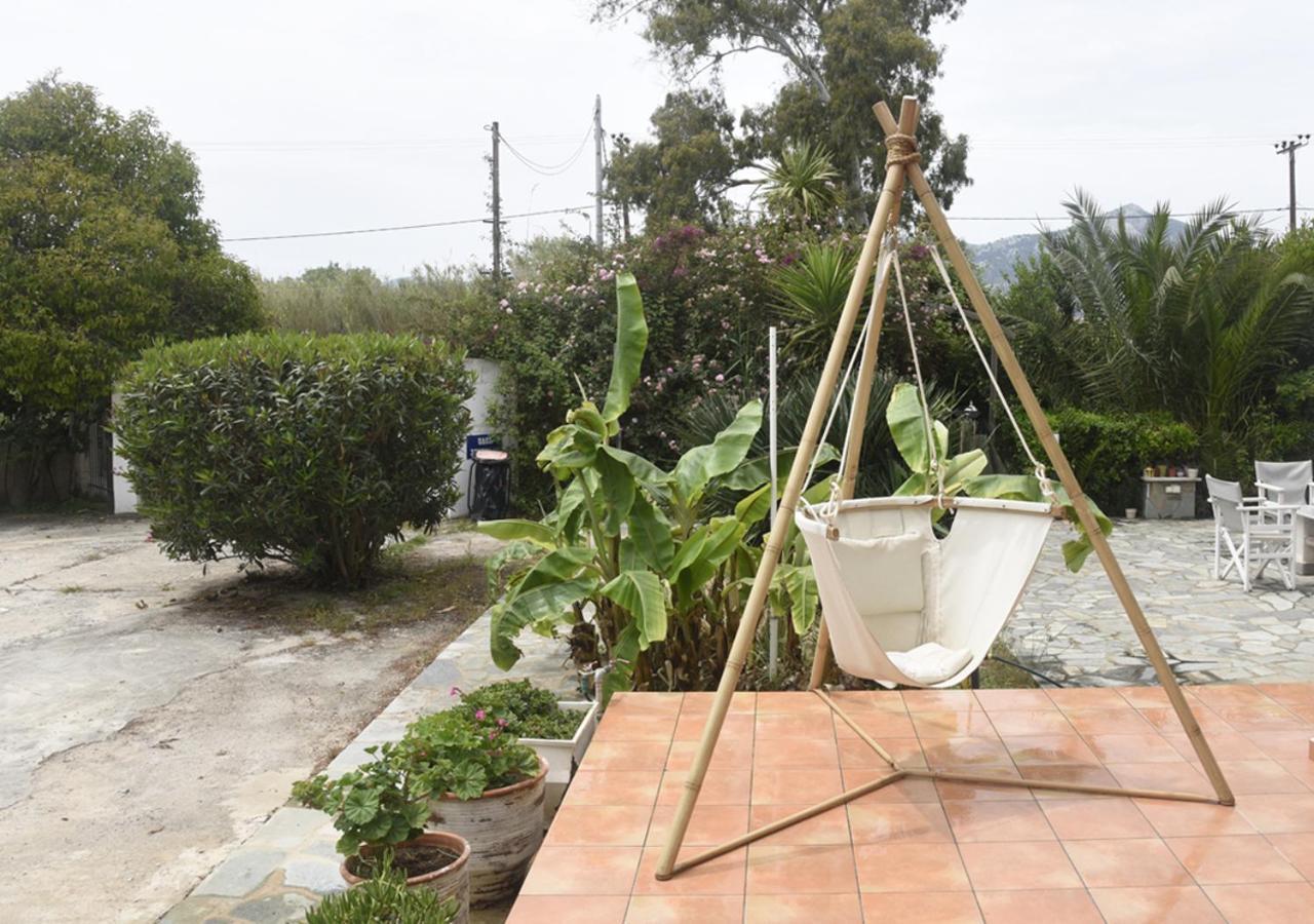 τhe Banana Tree House