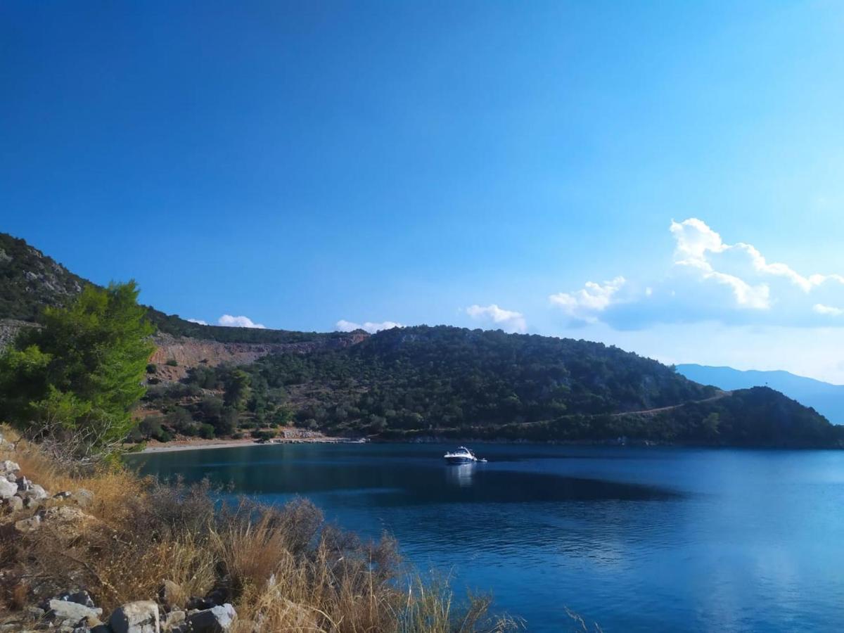 Arsinoe Guest house *