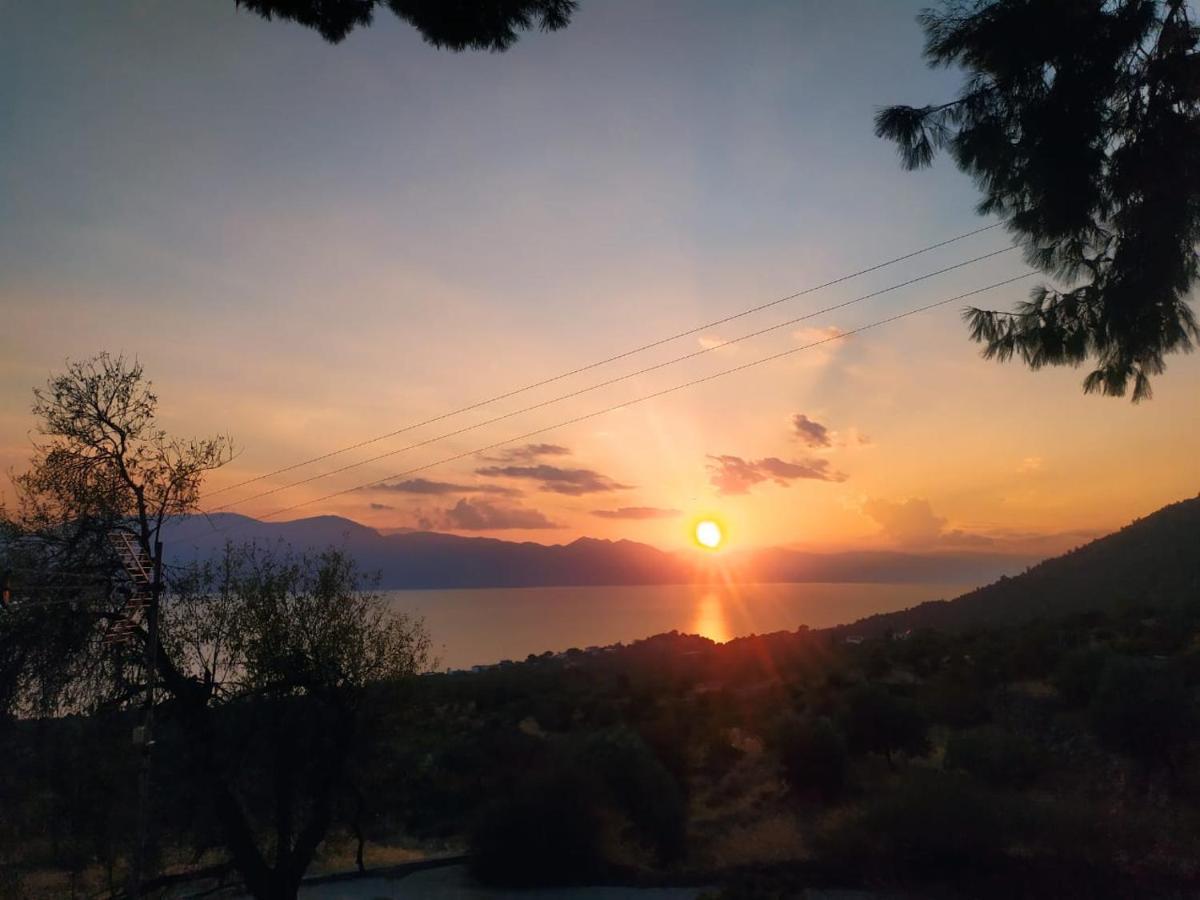 Arsinoe Guest house *