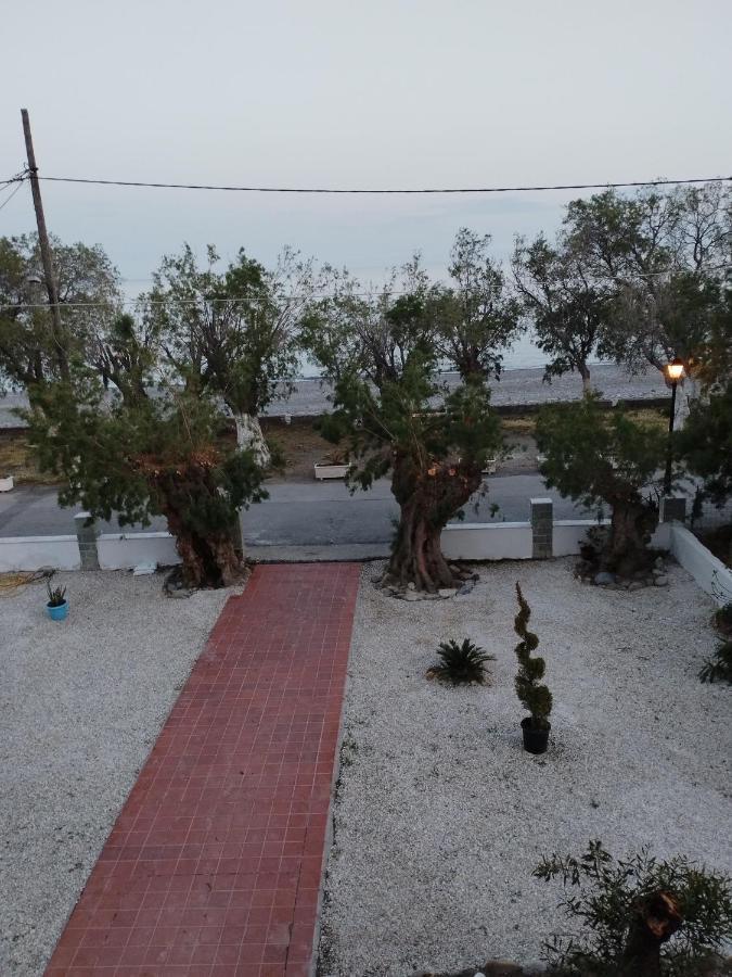 Zorbas Hotel Sougia