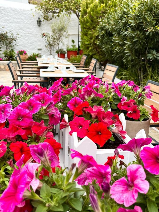 Mistral 3* Hydra (Saronic Islands)