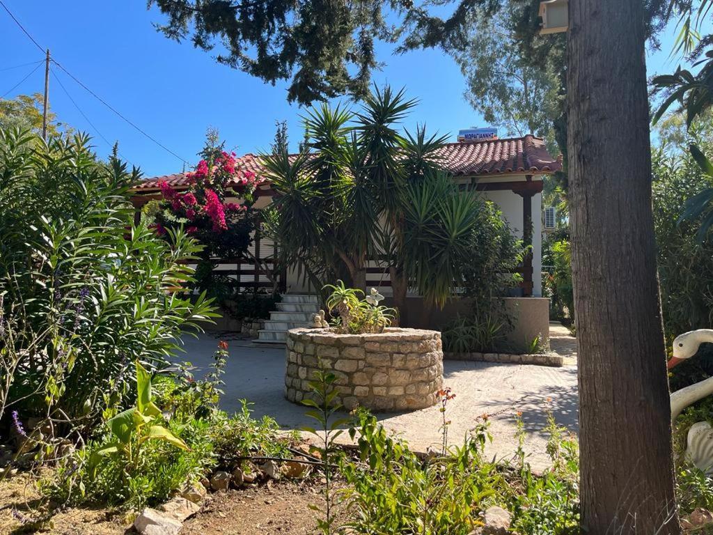 Garden Holiday home Gialova