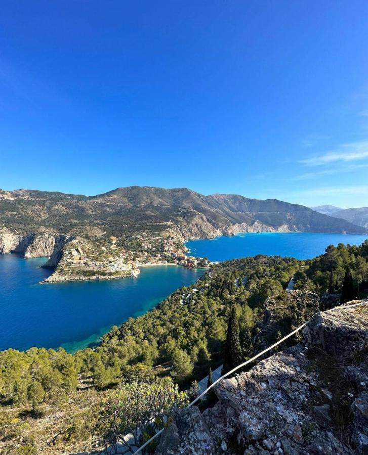 Assos Blue House