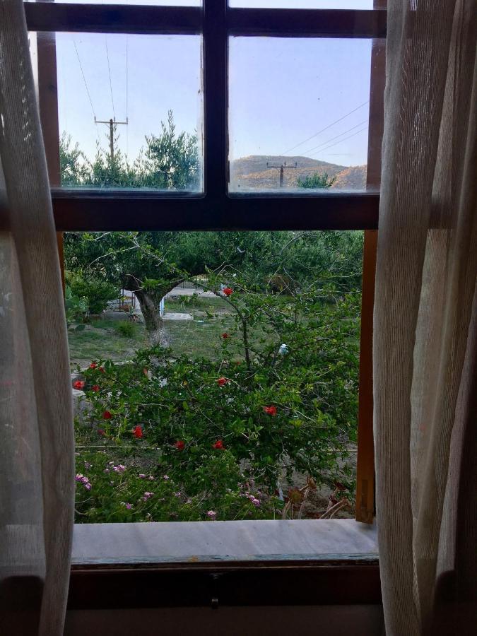 Limni Villa Karpathos Town (Pigadia)
