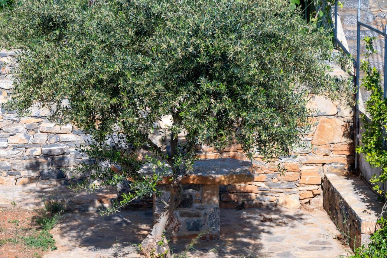 Blue Cove Zen * Elounda (Crete)