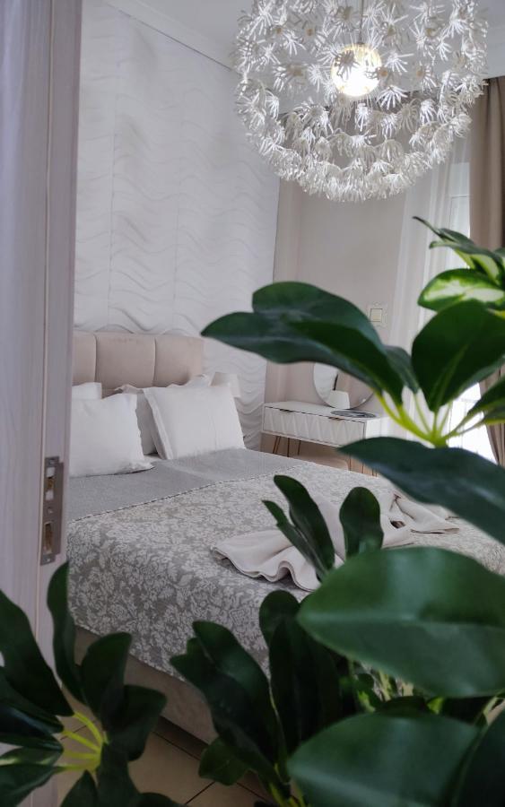Boutique Lux *
