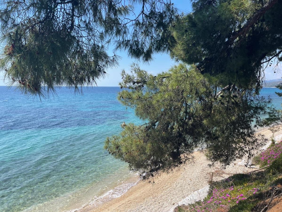 Apartment Sea View Anastasia *