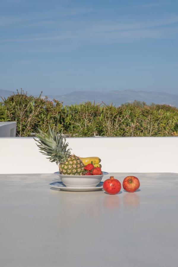 Golden View With Private Swimming Pool Chrisi Akti (Paros)