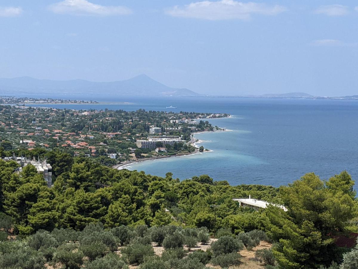 Amphiareion Sea View Holiday home