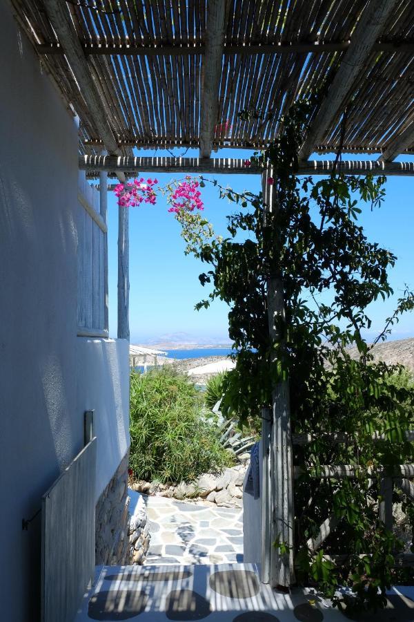 Zografos Irakleia (Naxos)