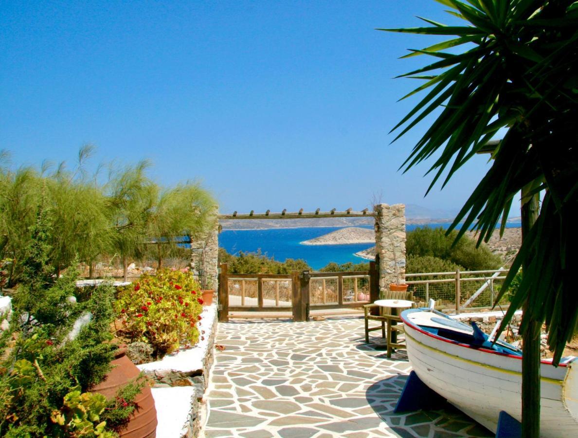 Guest house Zografos 4*