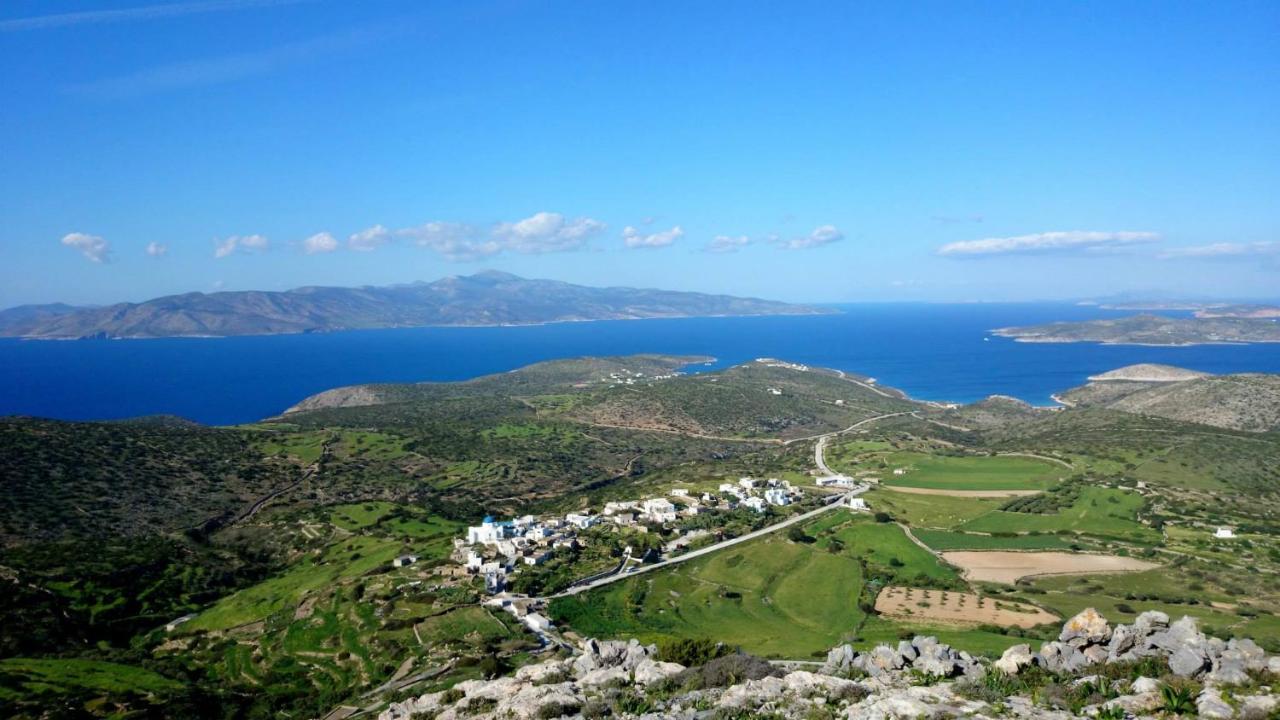 Zografos Guest house