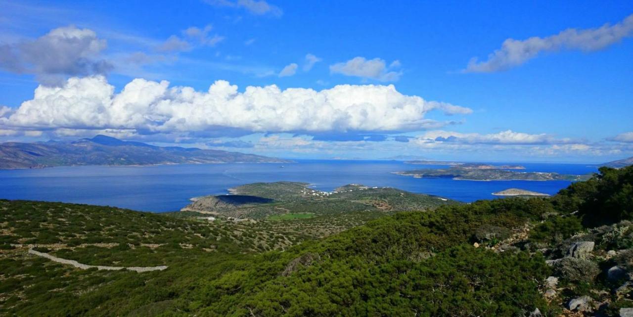 Zografos