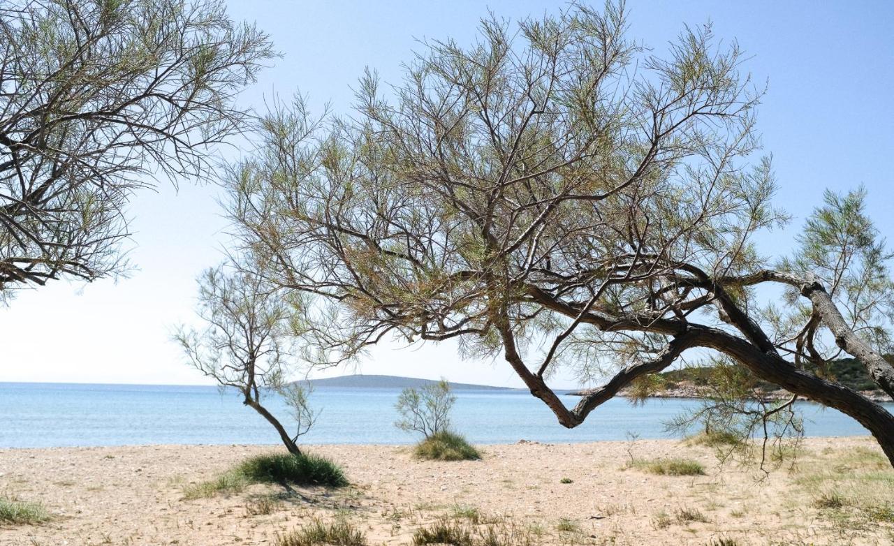 Apartment Cavos Paros Boho Chic Sea-view In Aliki, Paros *