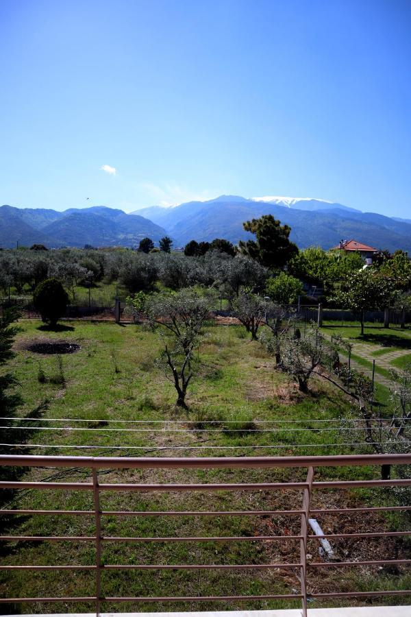 Villa Elioj House *