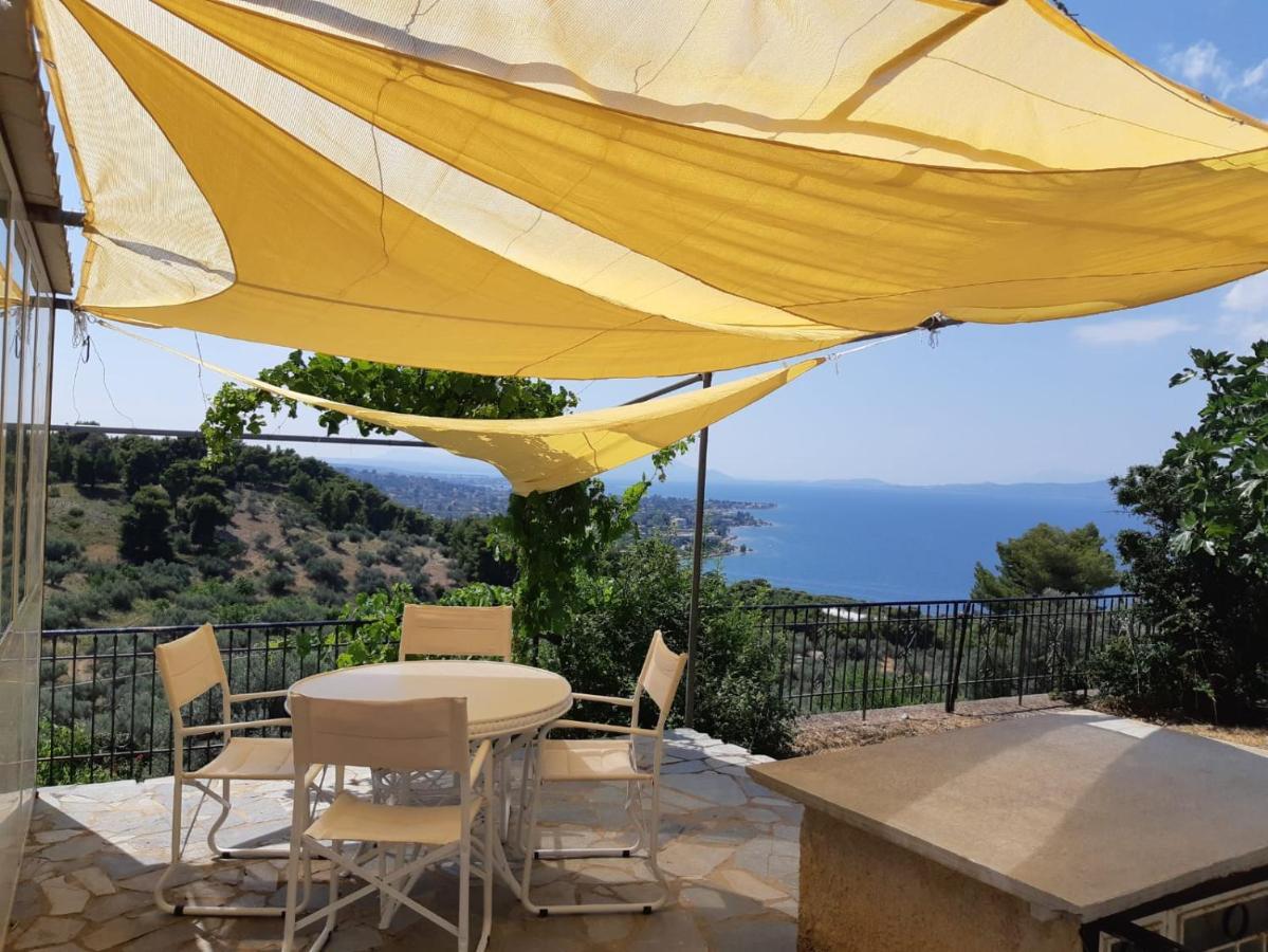Amphiareion Sea View *