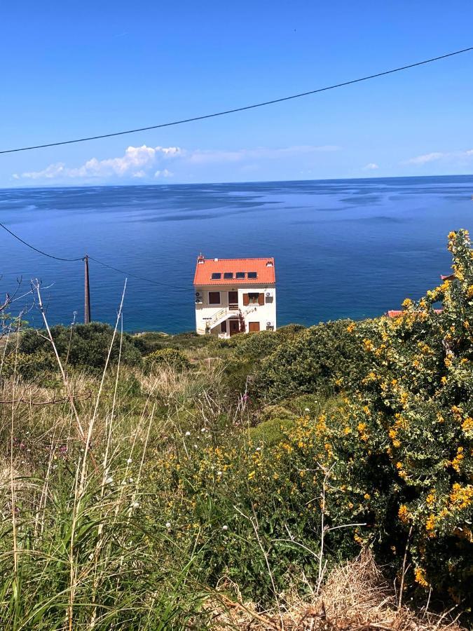Apartment κοχυλι 2 με υπεροχη θεα στο αιγαιο πελαγος!