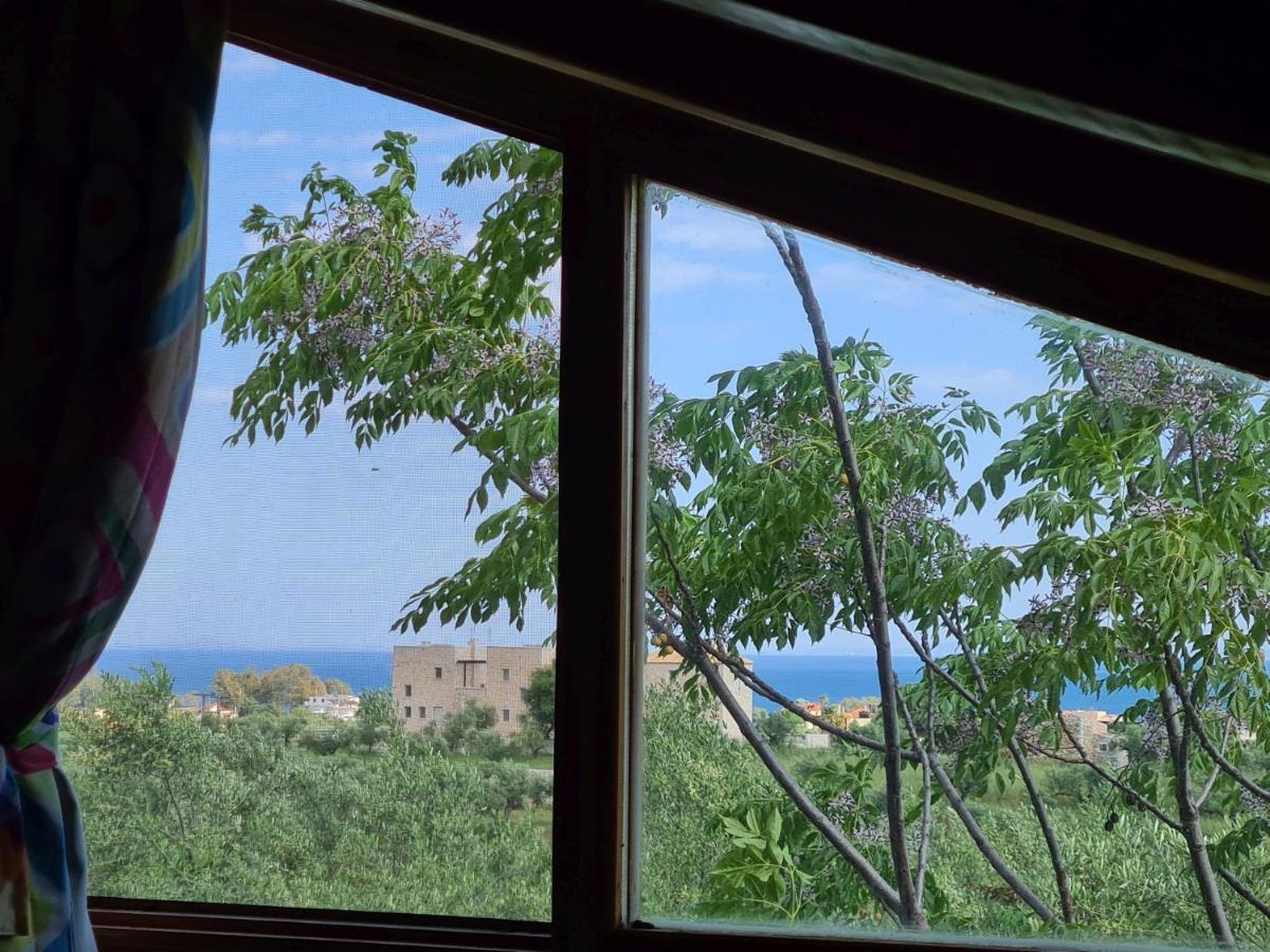 Apartment Ktirakia