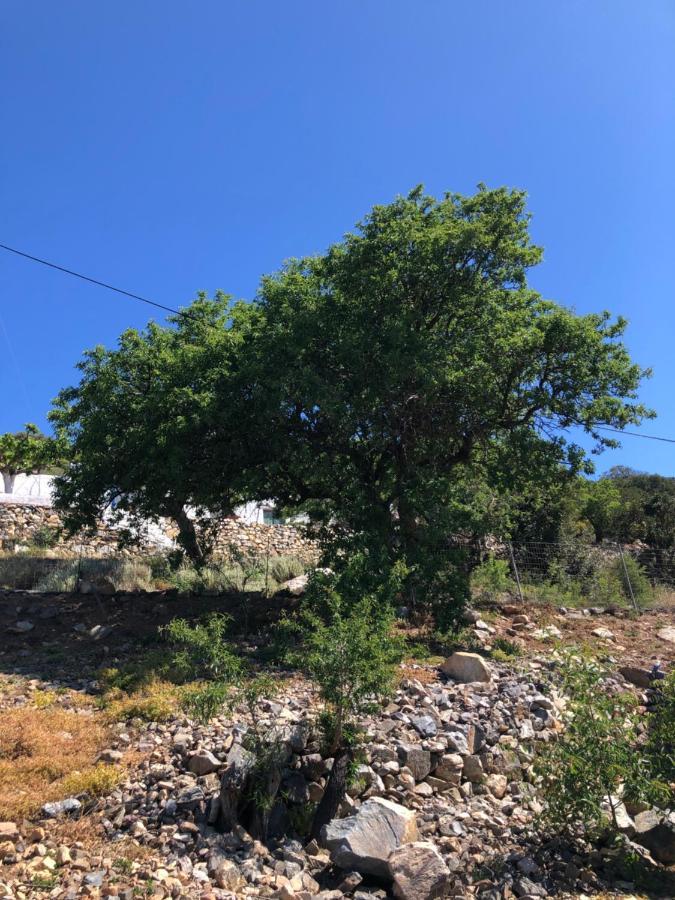 Areti Sea View Mountain Apartment