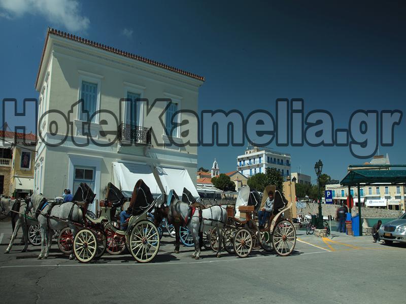 Kamelia * Spetses Town