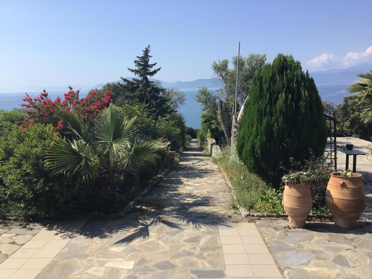 Georgia's House *
