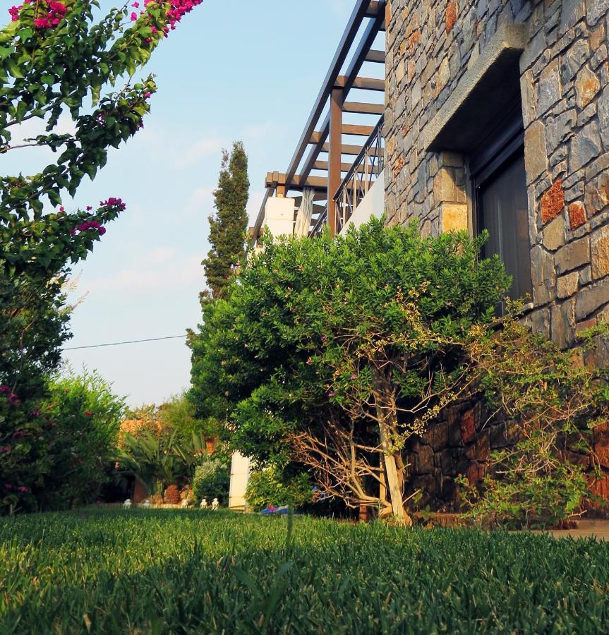 Villa Erondas Hersonissos (Crete)