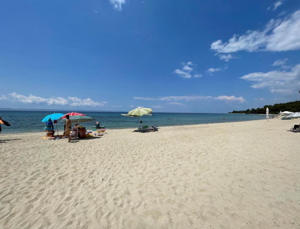 Stunning Beachfront For Rent *