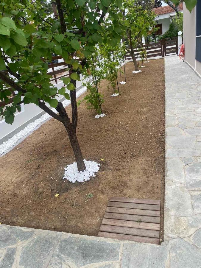 R Lux Villa *